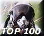AVIATION TOP 100 www.avitop.com
